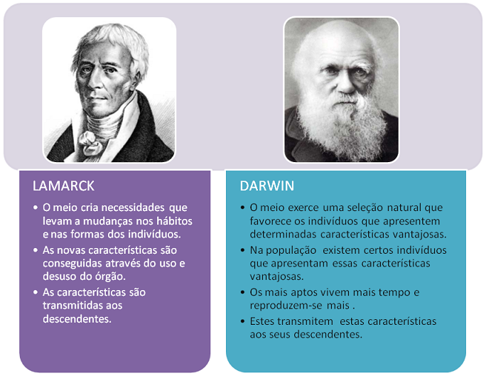 A Abordagem de Lamarck para a Evolução das Espécies