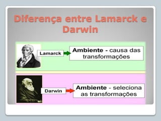 A Abordagem de Darwin para a Evolução das Espécies