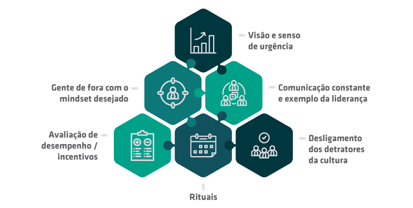 Explorando as Diferenças entre os Dois Tipos de Culturas