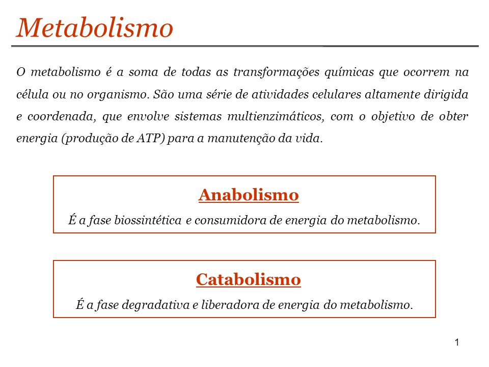 Catabolismo E Anabolismo Qual A Diferen A