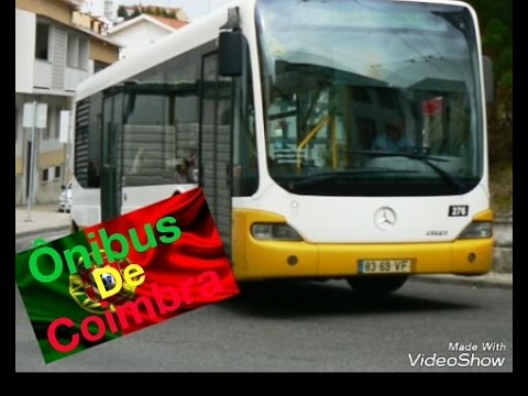 Compreenda a Importância dos Transportes Públicos no País