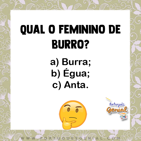 Aprendendo sobre a Jumenta - O Feminino do Burro Animal