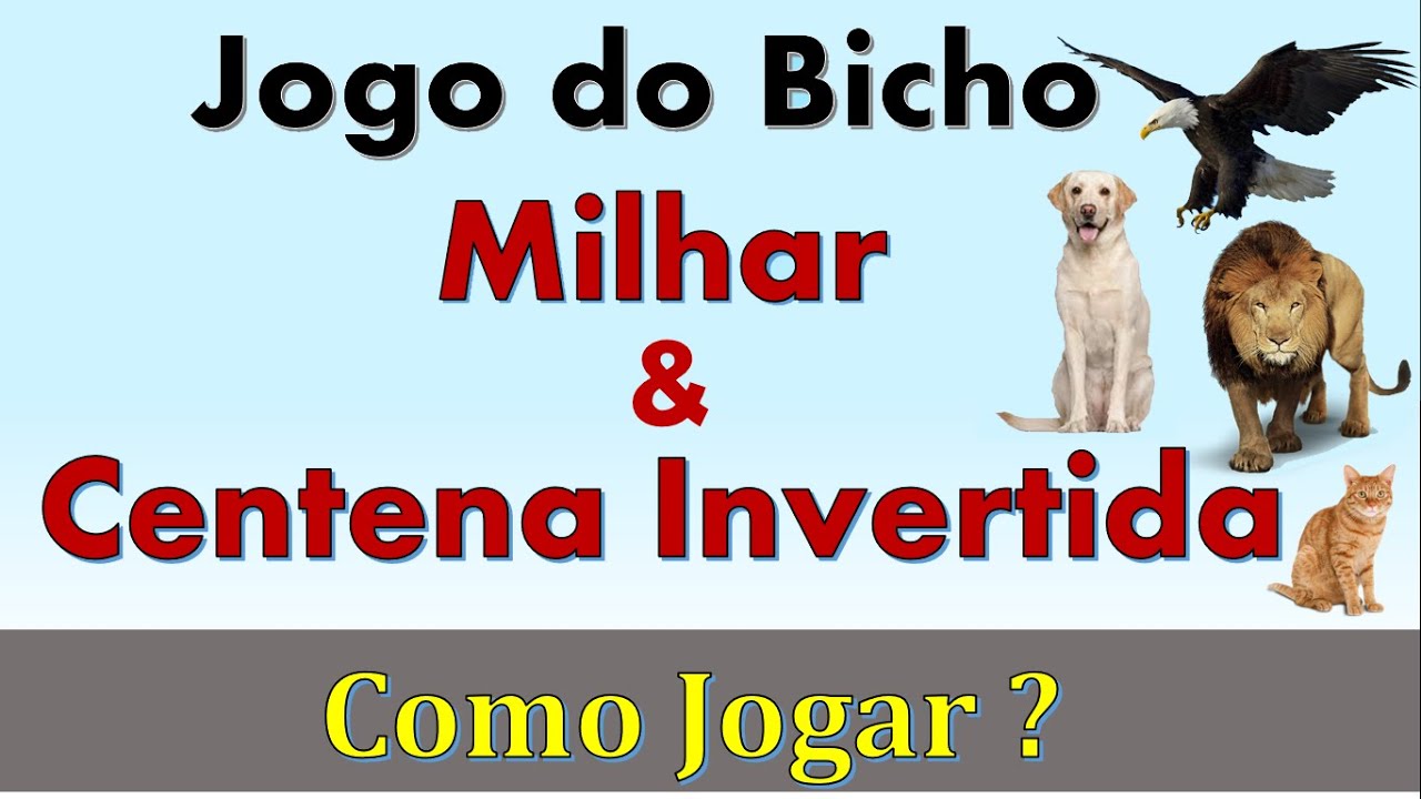 Quais são as Possibilidades de Ganhos com o Jogo do Bicho?