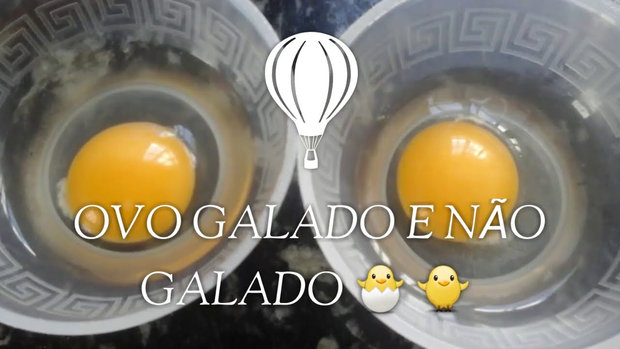 Saiba como Preparar e Cozinhar um Ovo Galado