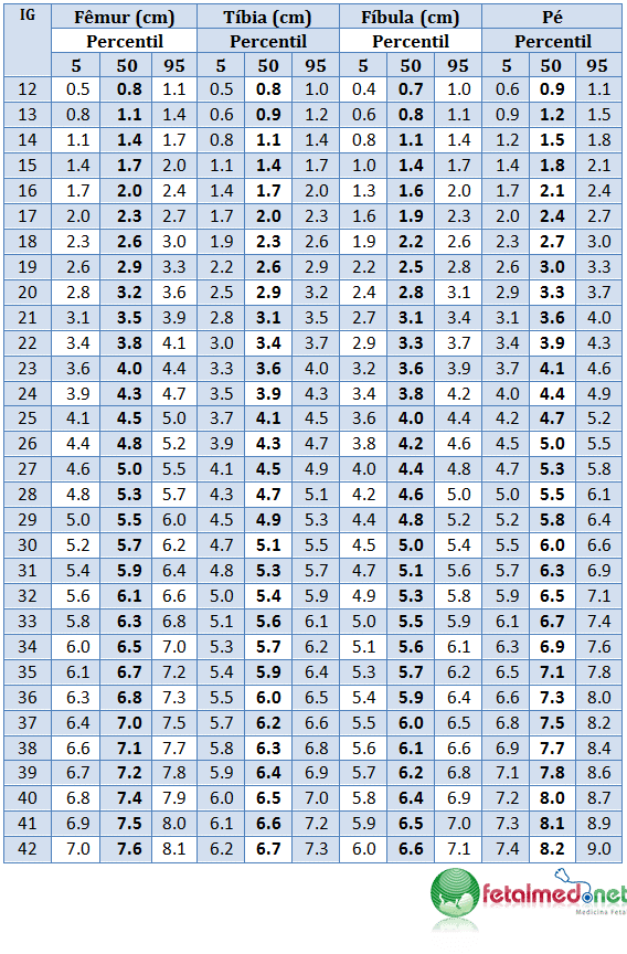 Descubra Como Calcular o Tamanho do Bebê Utilizando as Medidas Obtidas no Fêmur