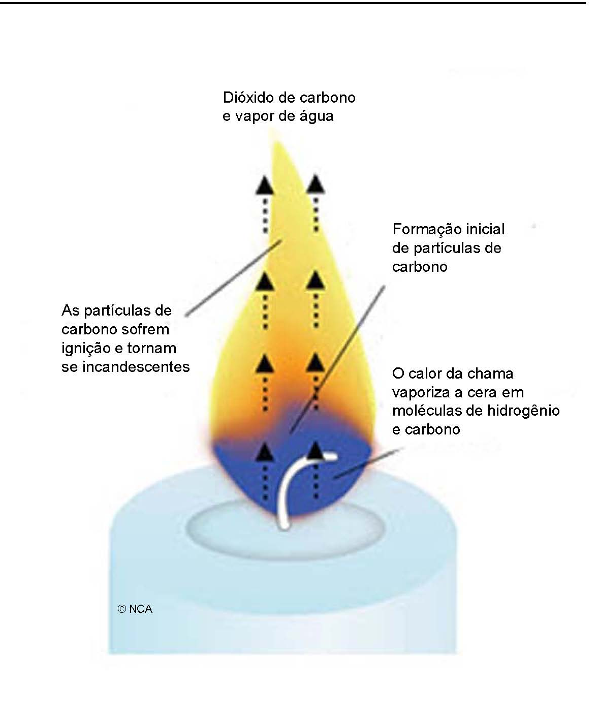 Verificando os Sinais de Uma Vela Aprovada