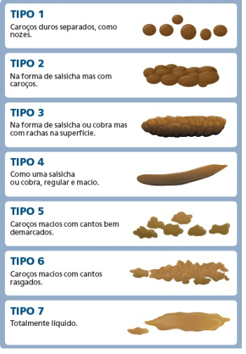 Como são as fezes de cobra em comparação com outros animais?