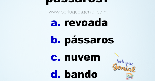 Entenda as Diferenças entre os Vários Tipos de Reuniões Aviárias