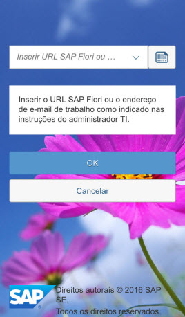 O que é o SAP Fiori Petrobras?