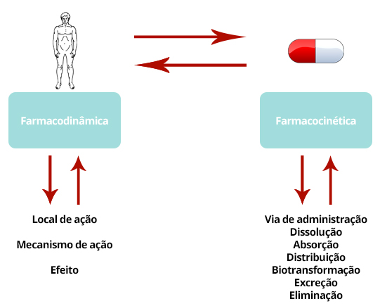 Como Estas Duas Áreas Se Relacionam?