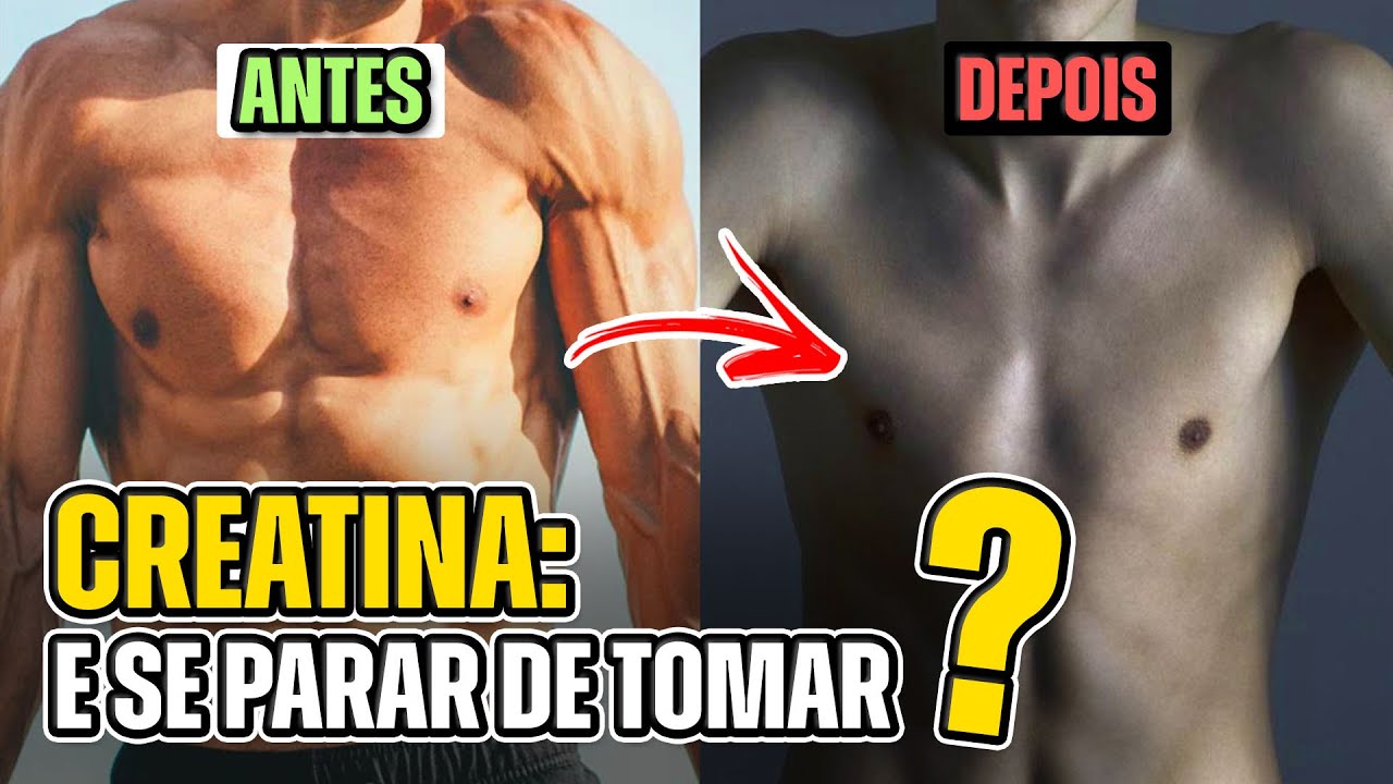 O Que Acontece ao Seu Corpo Sem Malhar e Tomar Creatina?