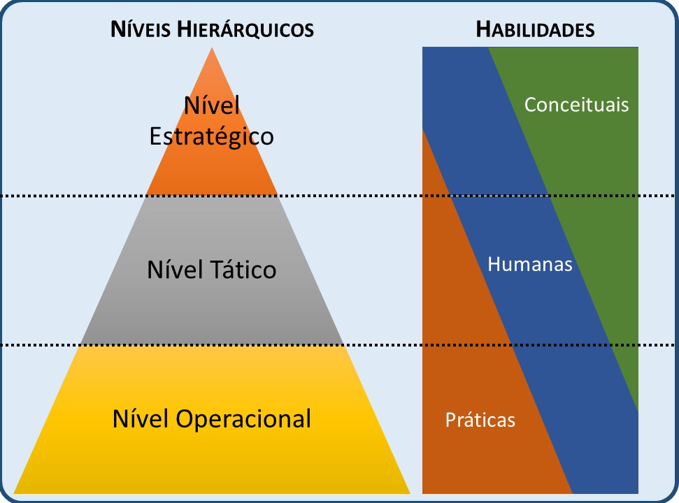 Definindo os Papéis e Responsabilidades em Cada Nível