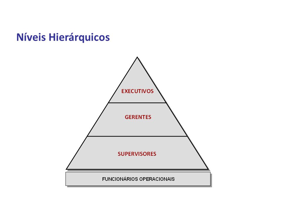 Aplicando as Estruturas Hierárquicas nas Organizações