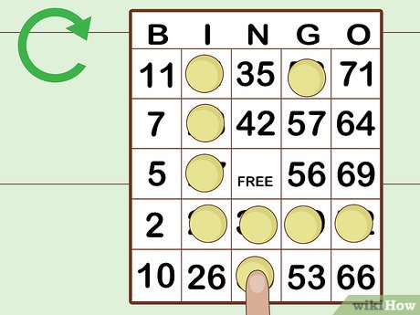 Descubra os benefícios de jogar na Quina do Bingo