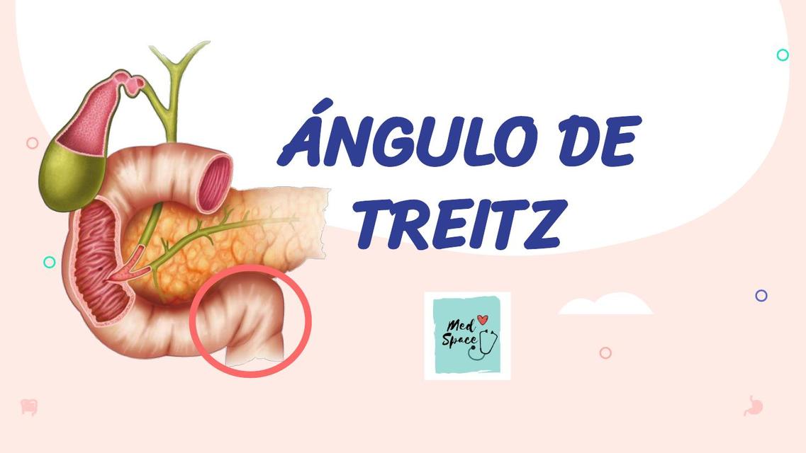 O Que é um ângulo Treitz?