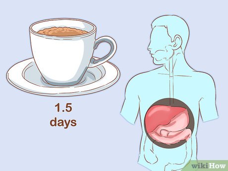 Alternativas Naturais para Diminuir os Efeitos da Cafeína