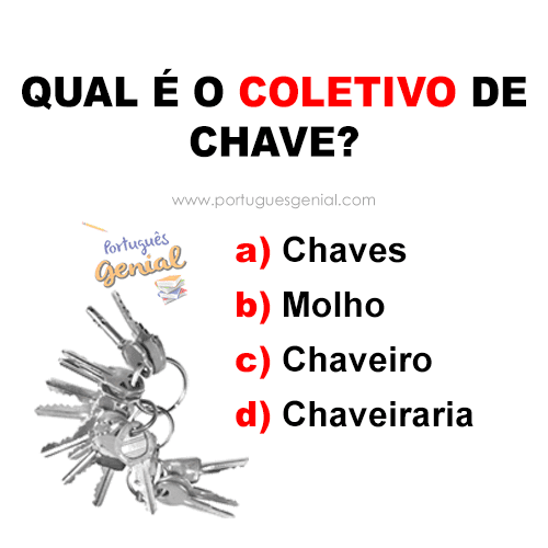 Como Funciona o Coletivo de Aviões?