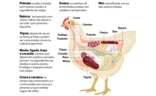 Benefícios para a Saúde do Fel de Galinha