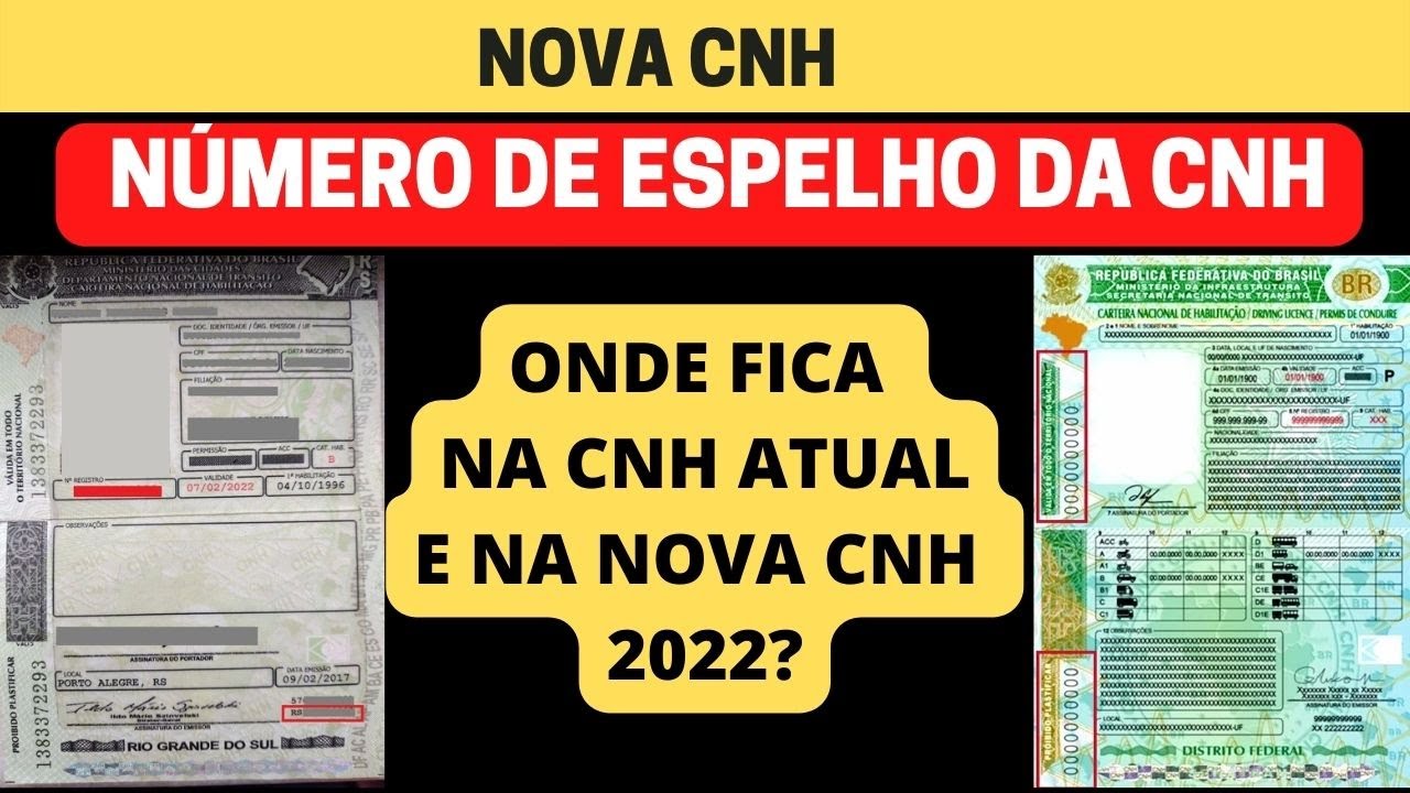 Quais São os Benefícios de Possuir o Número do Espelho da CNH?