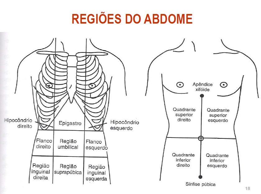 Descobrindo os Benefícios da Região Suprapúbica