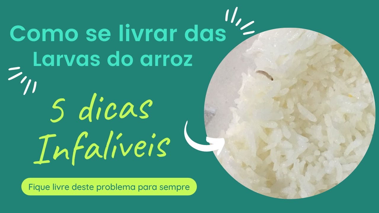 Descubra como identificar e remover larvas do arroz