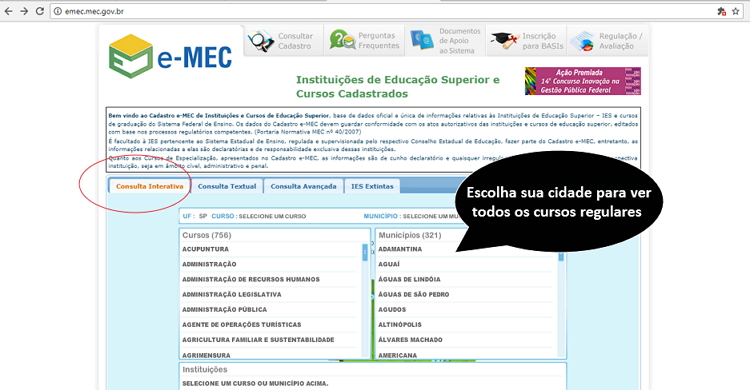 Qual a importância da verificação dos dados no Portal E-MEC?