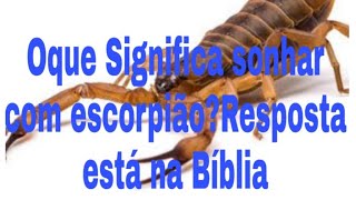 Como a Bíblia Interpreta os Sonhos Envolvendo Escorpiões?