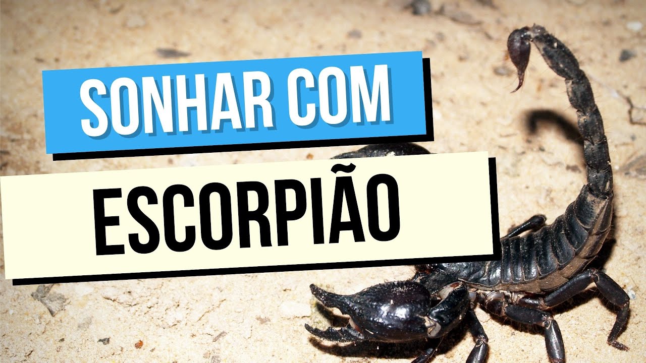 Lições Aprendidas: Que Mensagem o Escorpião nos Dá?