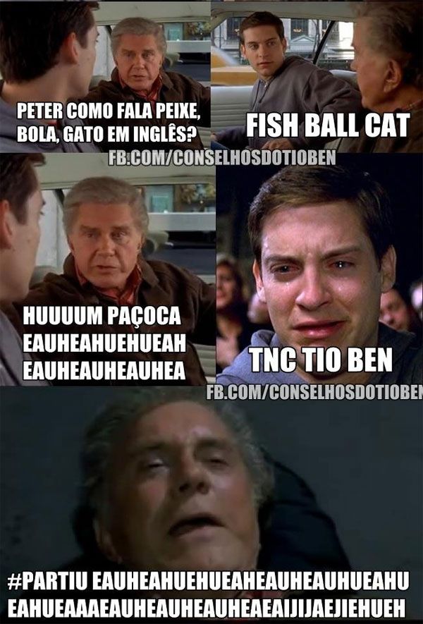 O Que Faz um Gato Ser Considerado um Peixe Bola?