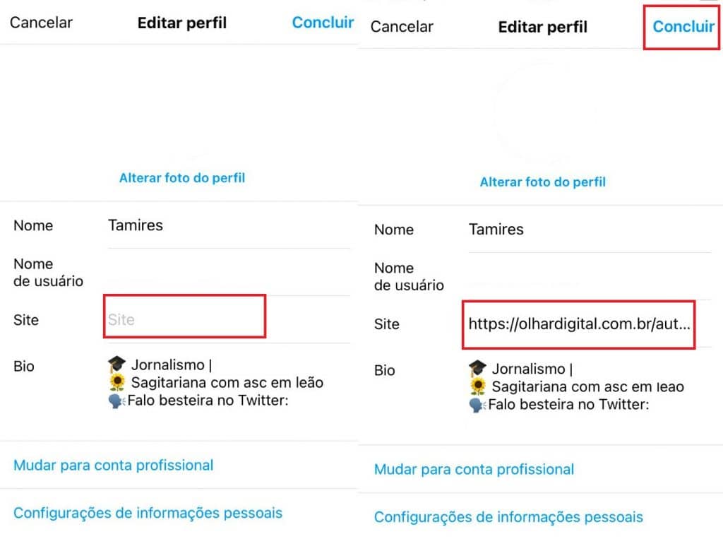 Descubra o que significa ter um site no seu perfil do Instagram