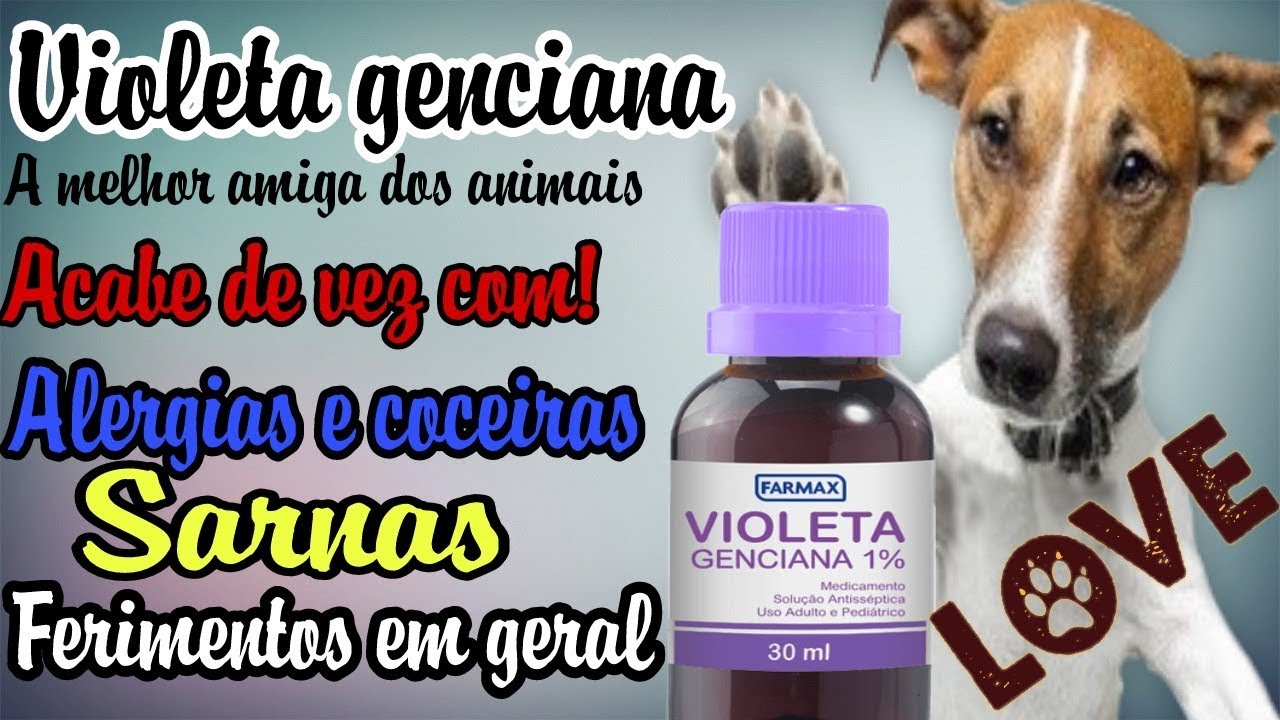 Uma Solução Natural para Problemas de Saúde dos Cães