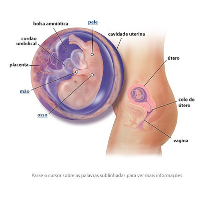 Como a Gravidez Pode Causar Movimentos na Barriga?