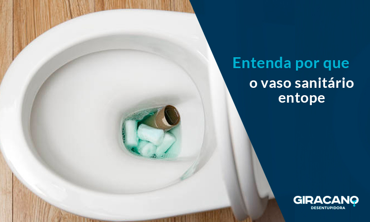 Como Evitar que as Fechas Entopem o Vaso Sanitário?