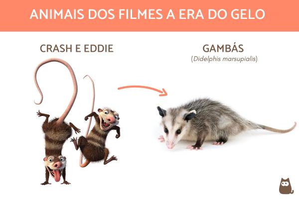 Uma Viagem Através dos Nomes dos Gambás da Era do Gelo