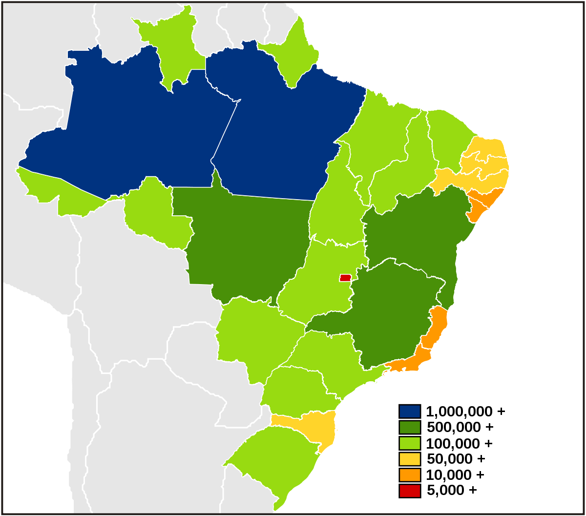 Descubra os 5 Maiores Estados do Brasil