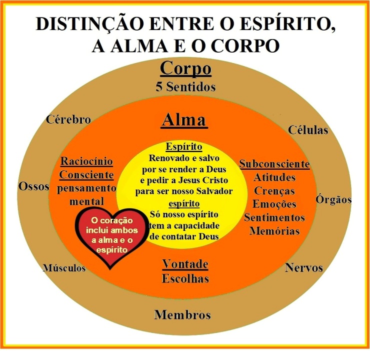 Quais as Implicações de Ter Uma Alma ou um Espírito?