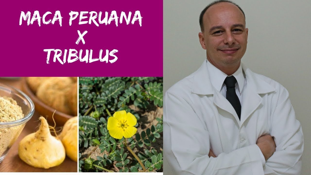 Tribulus Terrestris: Características e Benefícios