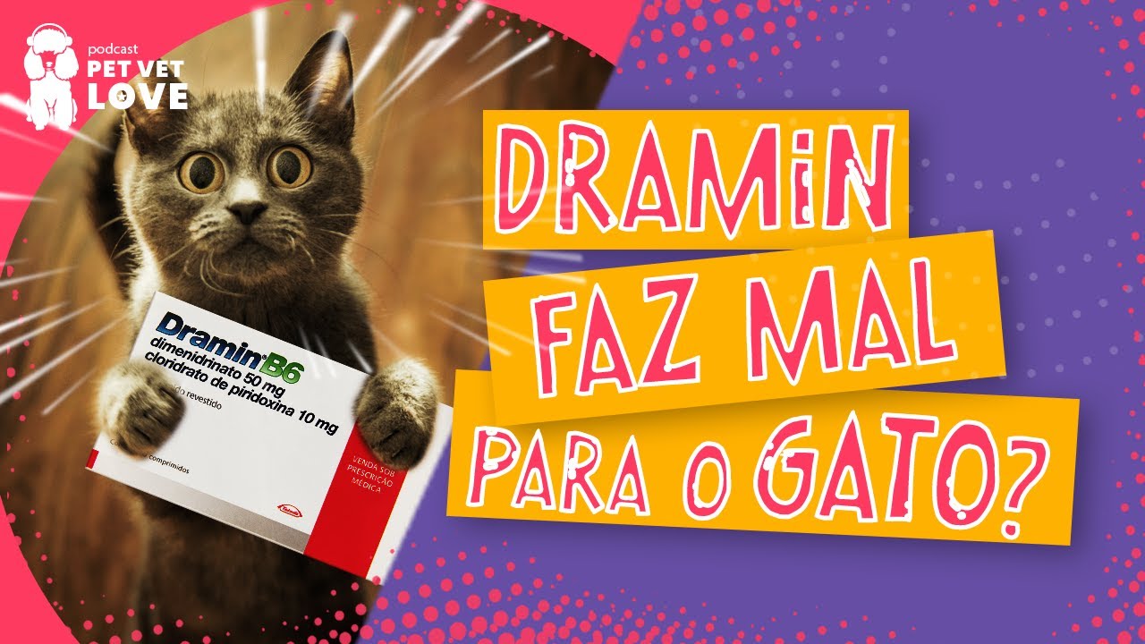 O Que Você Precisa Saber Sobre os Efeitos Colaterais do Dramin em Gatos