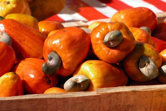 Aprenda Mais Sobre as Frutas Que Iniciam com C