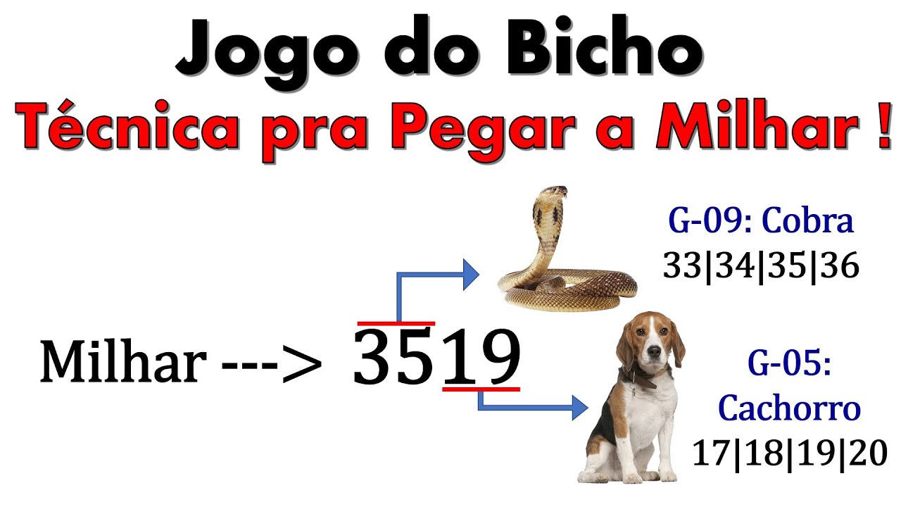 Aprenda sobre as Características da Milhar de Cobra