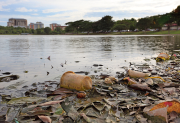 Qual o Impacto Ambiental das Duas Formas de Degradação da Água?