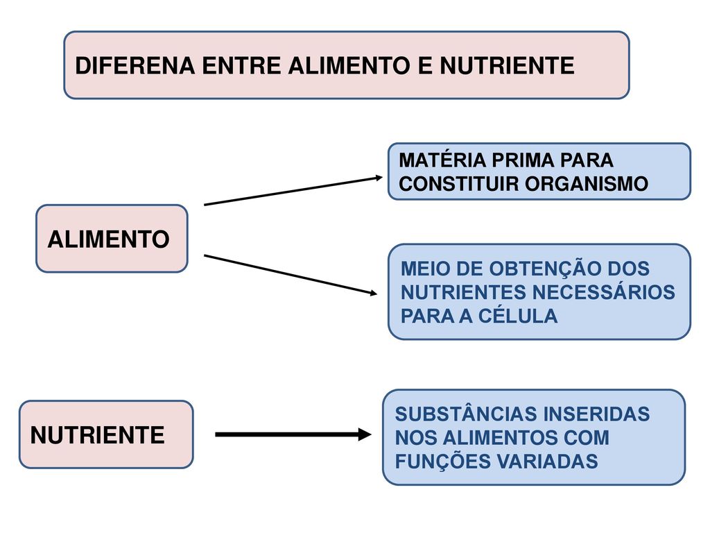 Quais são as Diferenças Entre Alimento e Nutriente?