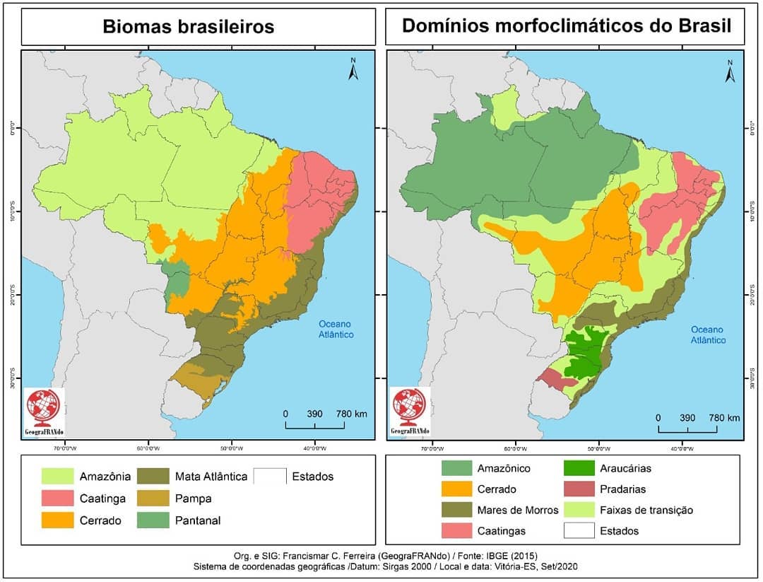 O Que São Biomas e Domínios Morfoclimáticos?