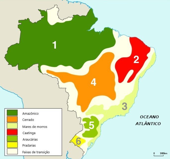 Quais As Principais Diferenças Entre Biomas e Domínios Morfoclimáticos?