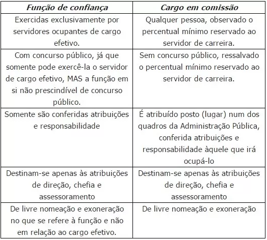 Quais as Diferenças Entre Cargo e Função?