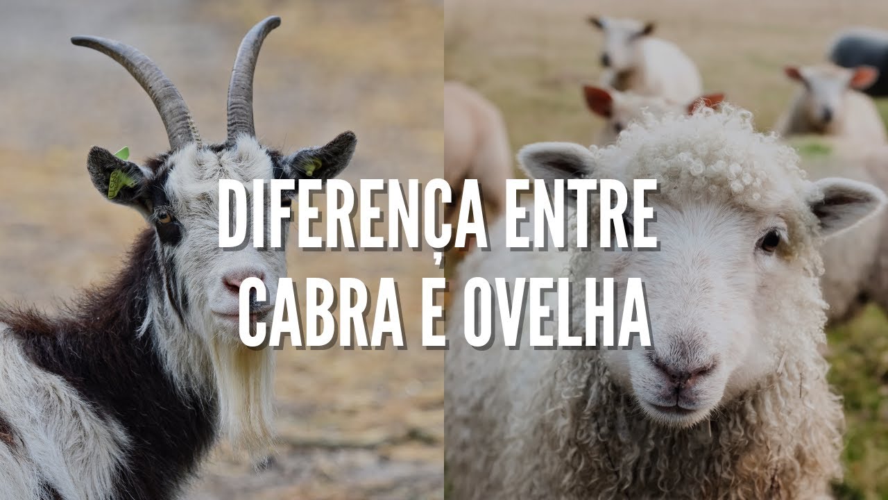 Como Estes Animais São Utilizados na Agricultura