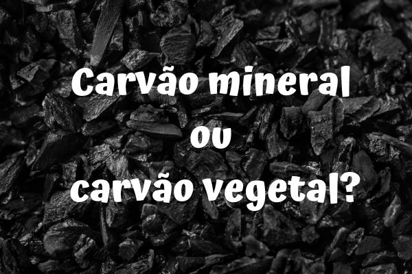 Comparação das Propriedades Físicas e Químicas dos Dois Tipos de Carvão