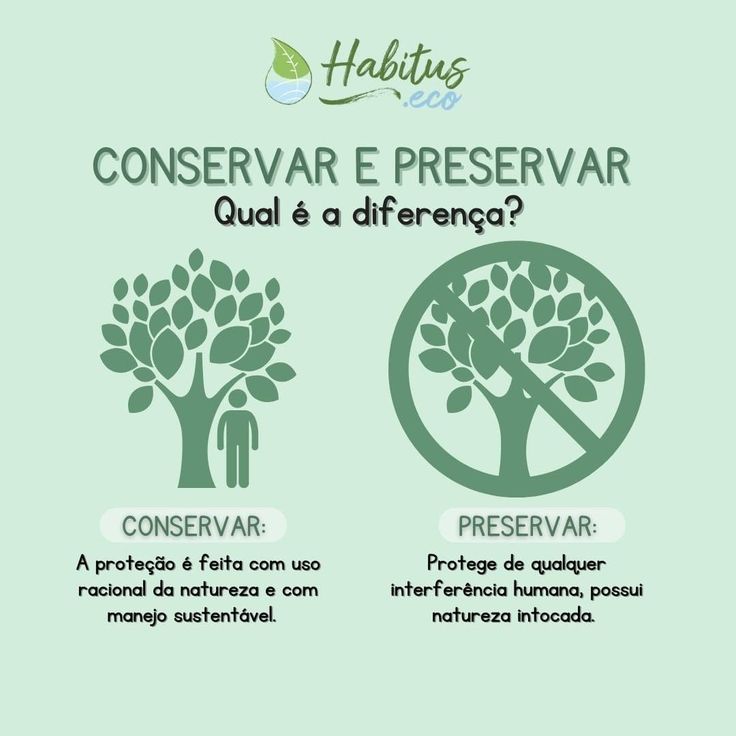 Quais São os Benefícios da Conservação e Preservação Ambiental?