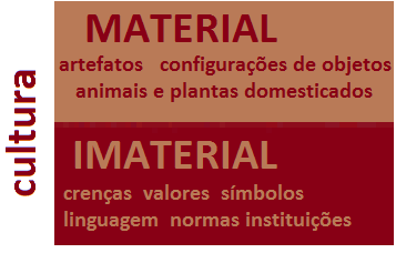 Como a Cultura Material e Imaterial Se Relacionam?