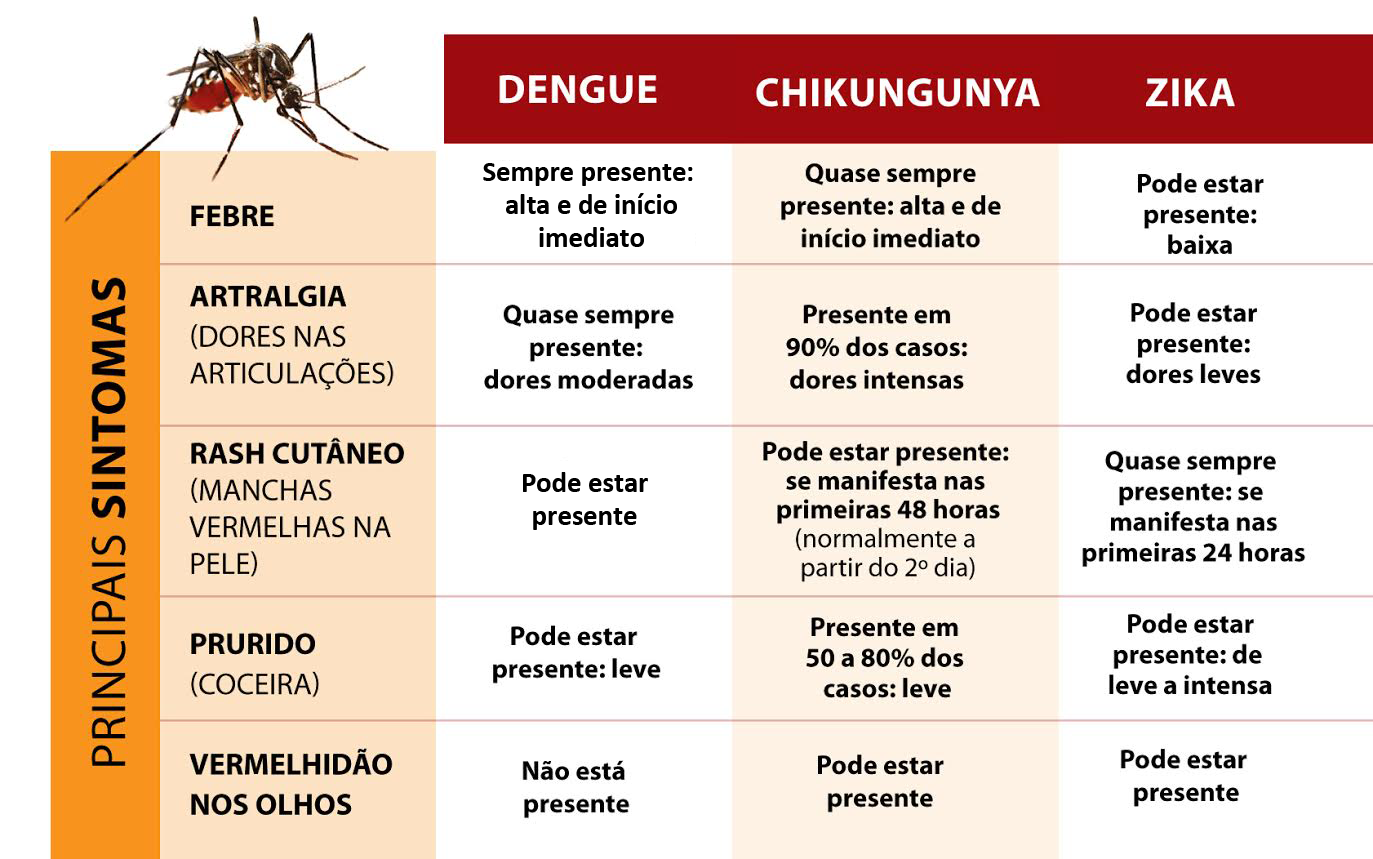 O que é Dengue e Chikungunya?